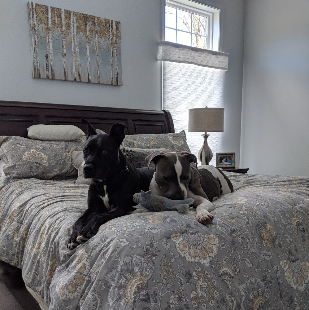 Meet your Posher, Nancy